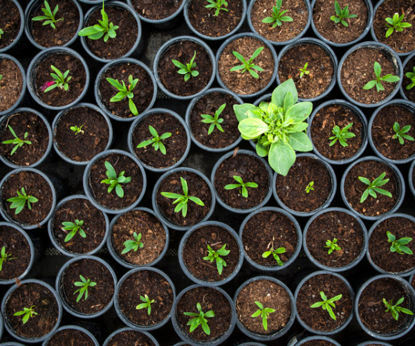 Bespoke https://evolveoutsource.com/wp-content/uploads/2023/10/Bespoke.png